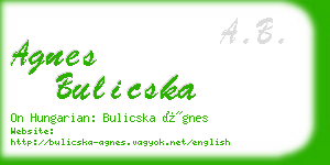 agnes bulicska business card